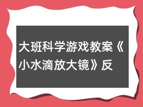 大班科學(xué)游戲教案《小水滴放大鏡》反思