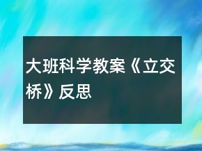 大班科學(xué)教案《立交橋》反思