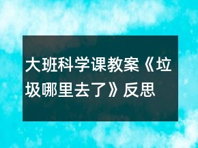 大班科學(xué)課教案《垃圾哪里去了》反思