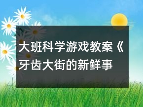 大班科學(xué)游戲教案《牙齒大街的新鮮事》反思