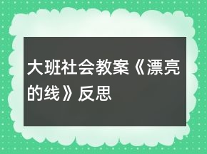 大班社會教案《漂亮的線》反思