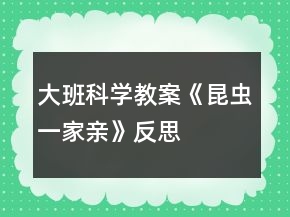 大班科學(xué)教案《昆蟲一家親》反思