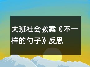 大班社會(huì)教案《不一樣的勺子》反思