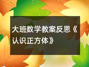 大班數(shù)學教案反思《認識正方體》