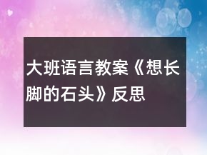 大班語言教案《想長腳的石頭》反思