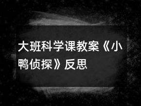 大班科學(xué)課教案《小鴨偵探》反思