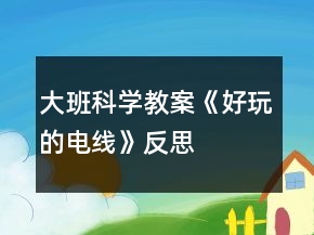大班科學(xué)教案《好玩的電線》反思