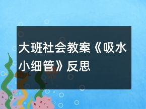 大班社會(huì)教案《吸水小細(xì)管》反思