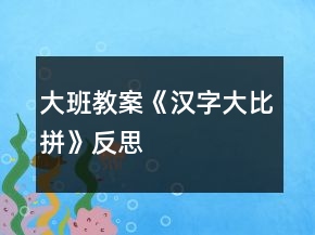 大班教案《漢字大比拼》反思