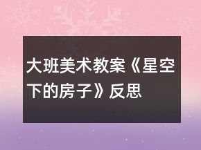 大班美術教案《星空下的房子》反思