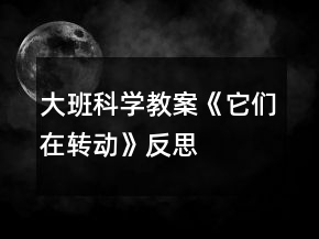 大班科學(xué)教案《它們在轉(zhuǎn)動(dòng)》反思