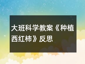 大班科學(xué)教案《種植西紅柿》反思