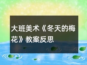 大班美術(shù)《冬天的梅花》教案反思