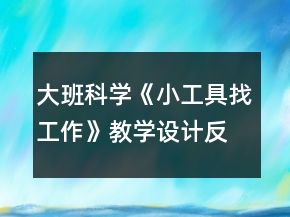 大班科學《小工具找工作》教學設計反思