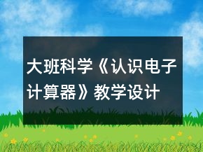 大班科學(xué)《認(rèn)識電子計算器》教學(xué)設(shè)計反思