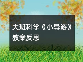 大班科學(xué)《小導(dǎo)游》教案反思