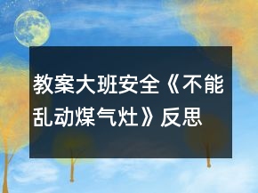 教案大班安全《不能亂動(dòng)煤氣灶》反思