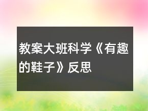 教案大班科學(xué)《有趣的鞋子》反思