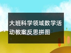 大班科學領域數(shù)學活動教案反思：拼圖