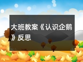 大班教案《認(rèn)識企鵝》反思