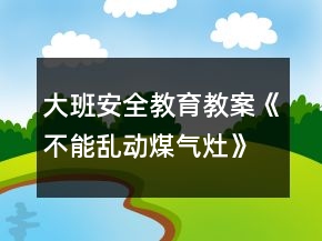 大班安全教育教案《不能亂動煤氣灶》反思