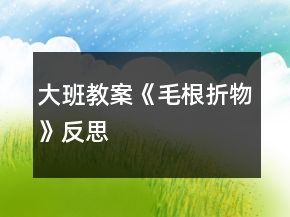 大班教案《毛根折物》反思