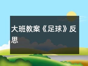 大班教案《足球》反思