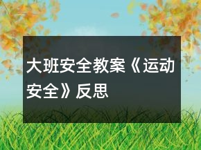 大班安全教案《運(yùn)動(dòng)安全》反思
