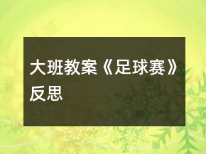 大班教案《足球賽》反思