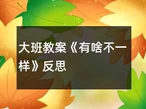 大班教案《有啥不一樣》反思