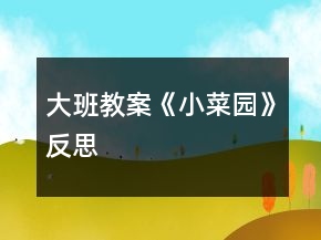 大班教案《小菜園》反思