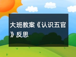 大班教案《認識五官》反思