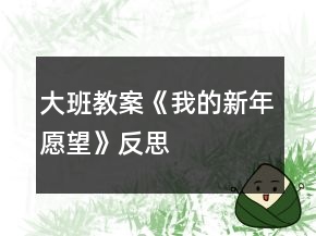 大班教案《我的新年愿望》反思