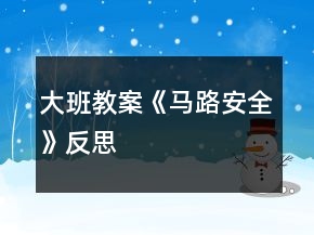 大班教案《馬路安全》反思