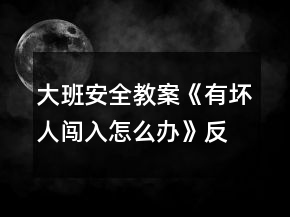 大班安全教案《有壞人闖入怎么辦》反思