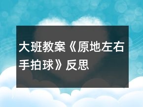大班教案《原地左右手拍球》反思