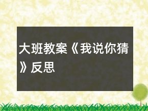 大班教案《我說(shuō)你猜》反思