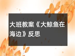 大班教案《大鯨魚在海邊》反思