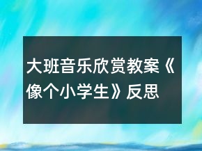 大班音樂(lè)欣賞教案《像個(gè)小學(xué)生》反思