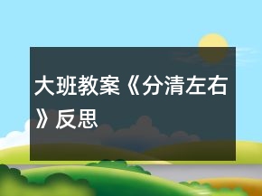 大班教案《分清左右》反思