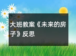 大班教案《未來的房子》反思