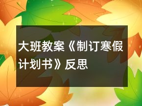 大班教案《制訂寒假計劃書》反思
