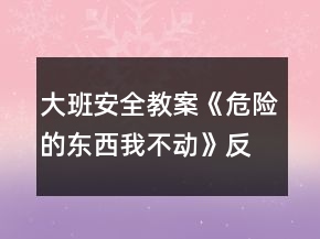 大班安全教案《危險的東西我不動》反思