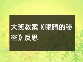 大班教案《眼睛的秘密》反思