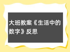 大班教案《生活中的數(shù)字》反思
