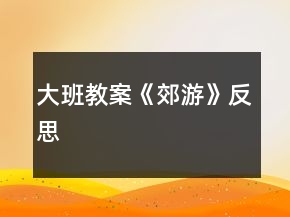 大班教案《郊游》反思