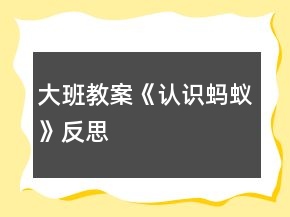 大班教案《認識螞蟻》反思