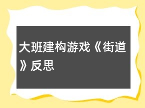 大班建構(gòu)游戲《街道》反思