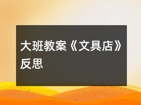 大班教案《文具店》反思