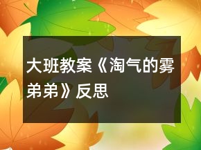 大班教案《淘氣的霧弟弟》反思
